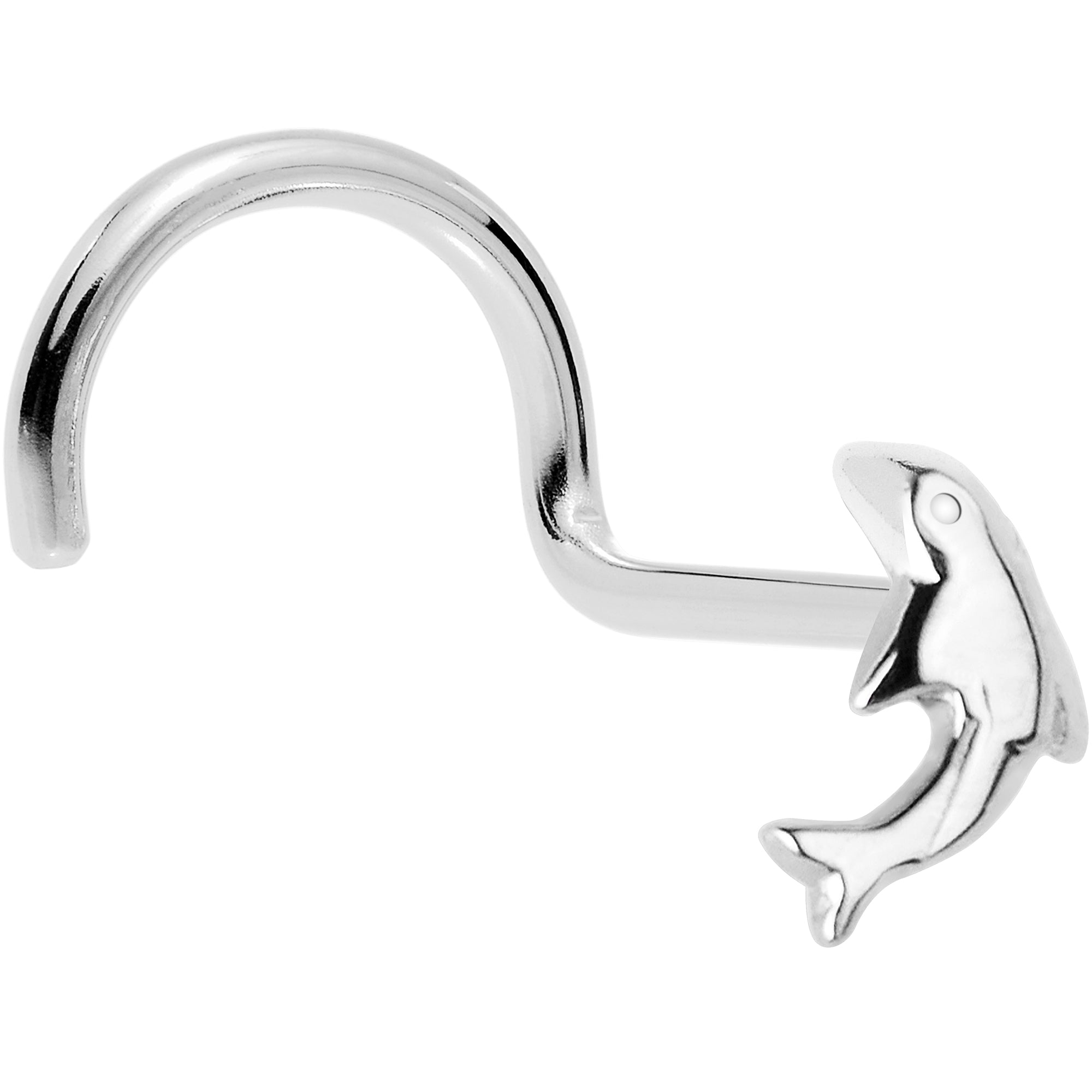 BodyCandy Solid 14K White Gold Dolphin Nose Screw Ring — detail close-up