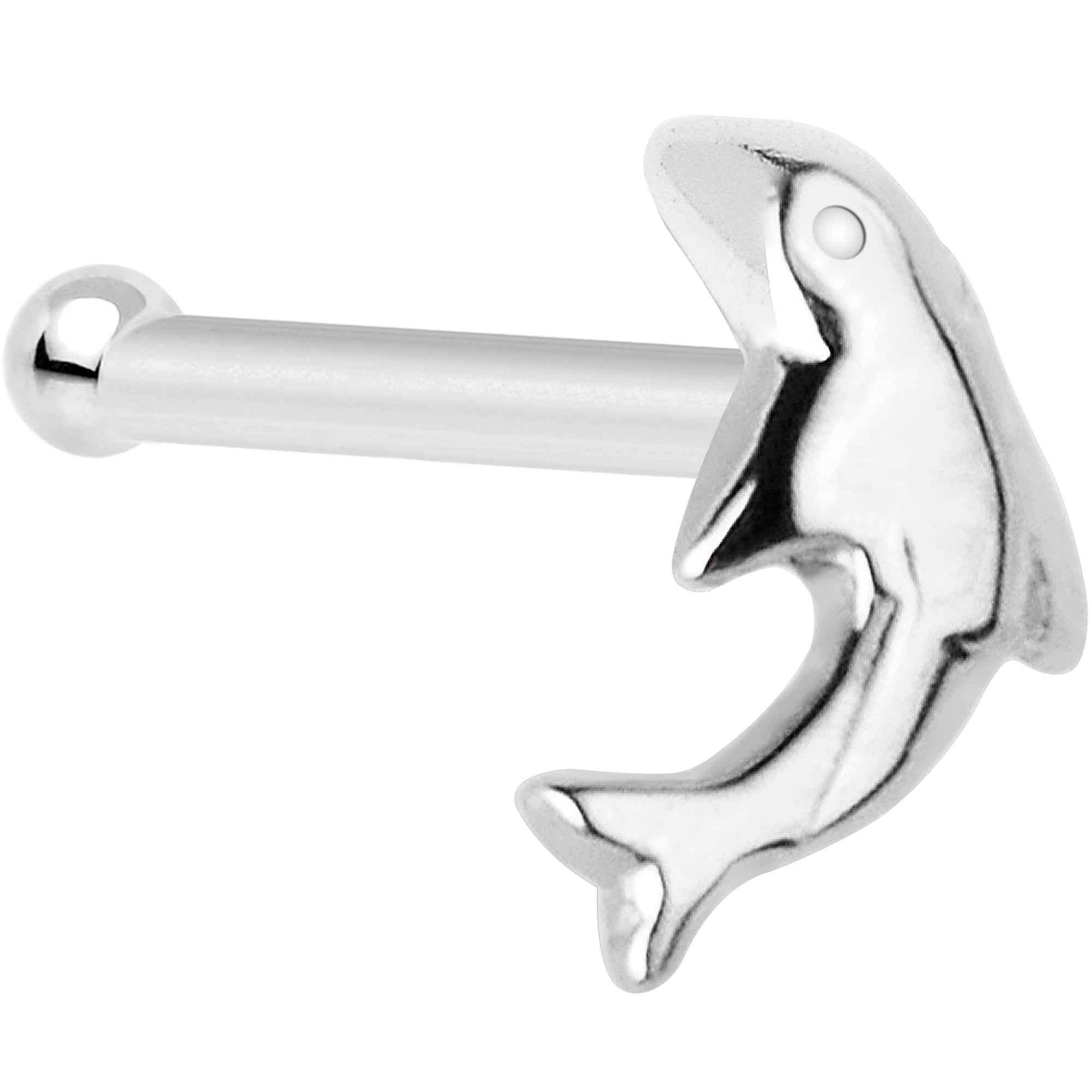 BodyCandy Solid 14K White Gold Dolphin Nose Bone — detail close-up