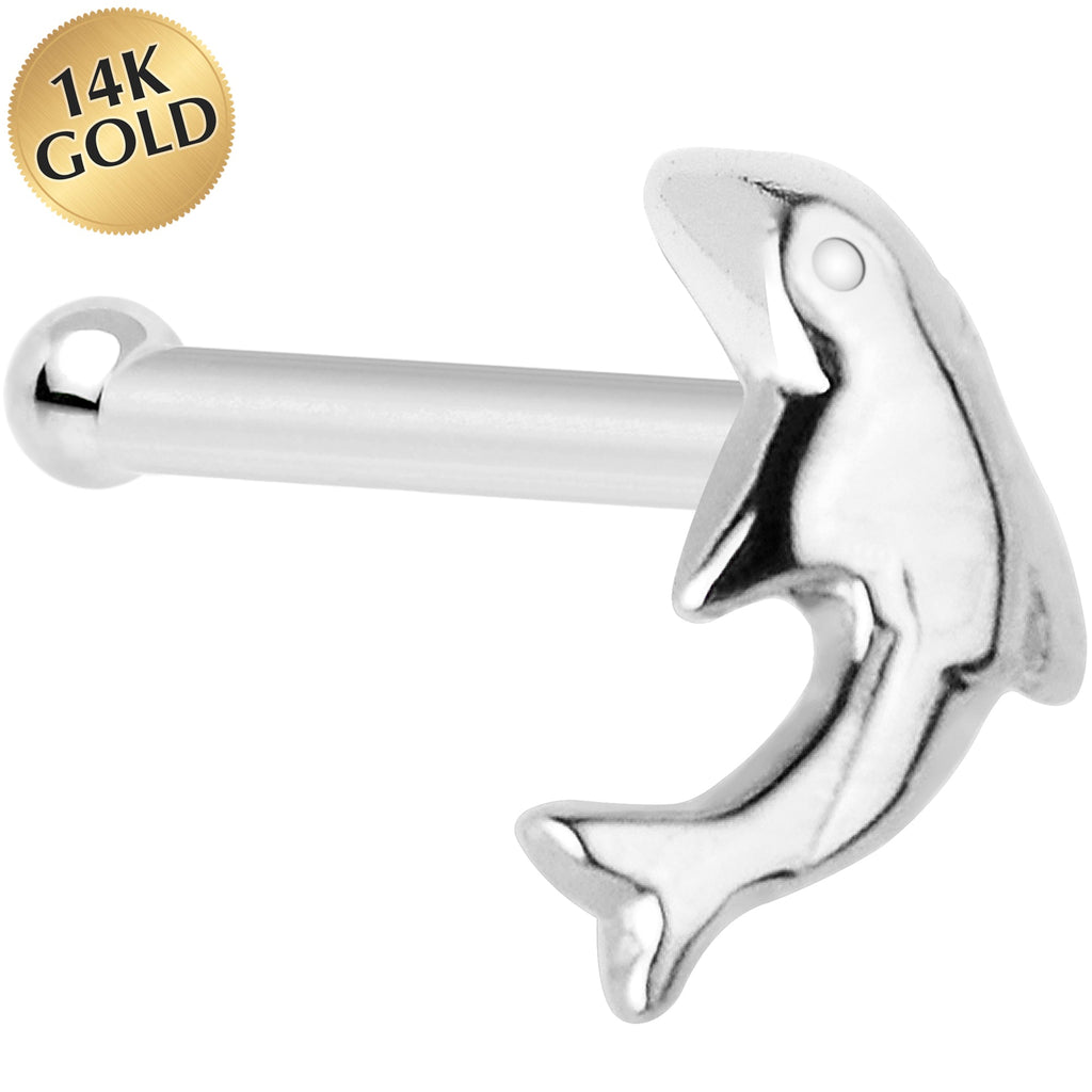 BodyCandy Solid 14K White Gold Dolphin Nose Bone — main product shot