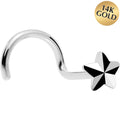 BodyCandy Solid 14K White Gold Raised Star Nose Screw Ring — main product shot