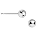 BodyCandy 14k White Gold 4mm Ball Earrings — main product shot
