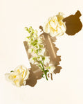 aldehydic floral fragrance oil accord – makesy®