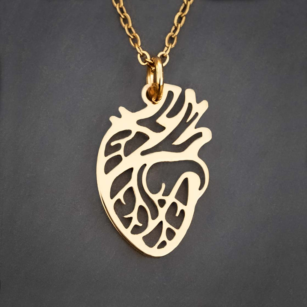 Princess Awesome & Boy Wonder Anatomical Heart Necklace — jewelry category context