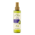 Dalan d'Olive: Natural Olive Oil Body Oil - Nourishing, Paraben & Alcohol-Free, For Dry & Sensitive Skin - Deeply Hydrating Body Moisturizer