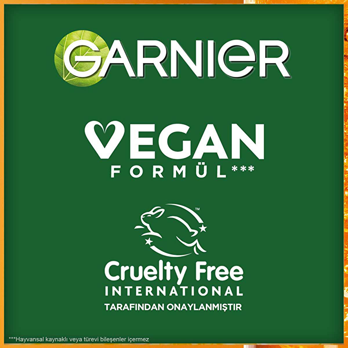 Garnier Vitamin C Face Serum - Brightening & Anti-aging Night Serum with Hyaluronic Acid