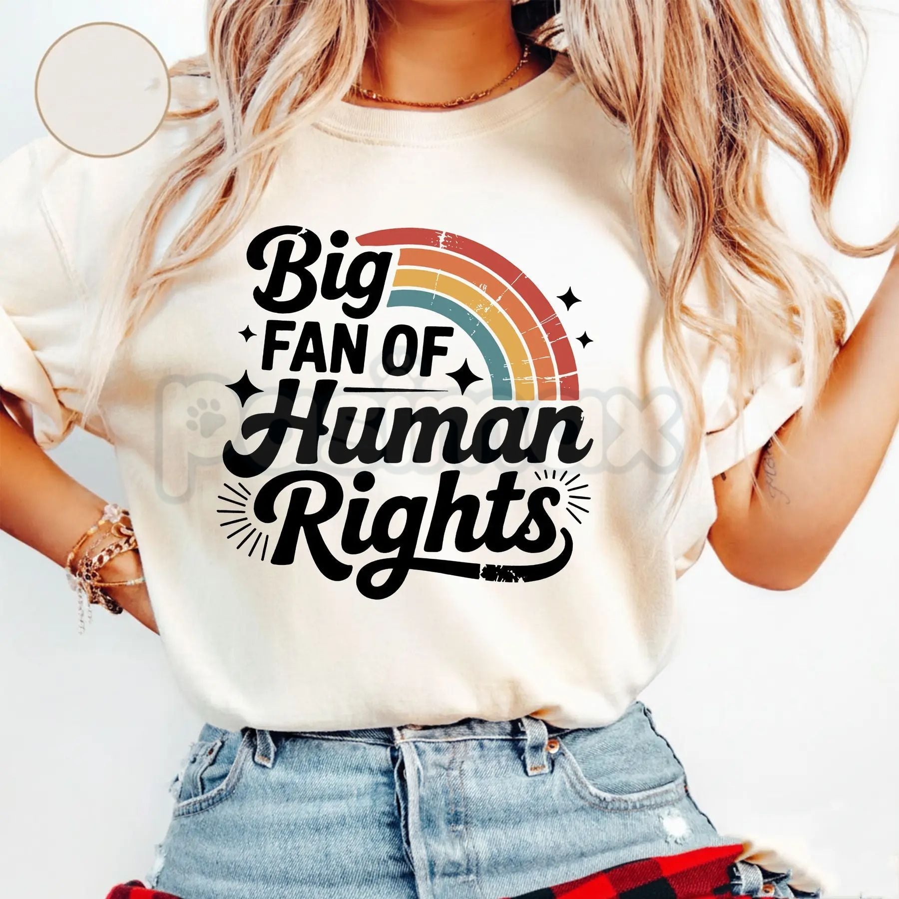 Pasimax "Big Fan of Human Rights" Aesthetic Retro Shirt - Vintage 70s Rainbow Equality Tee, Minimalist Social Justice Graphic