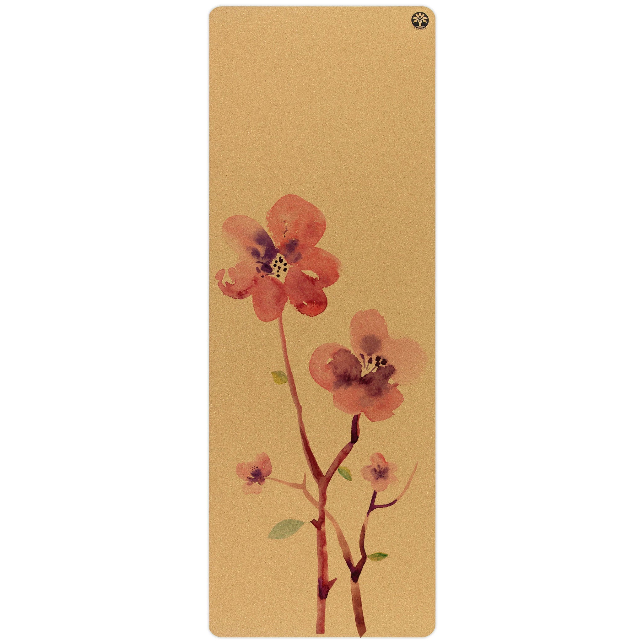 Blossom Aura Cork Yoga Mat – Yoloha Yoga