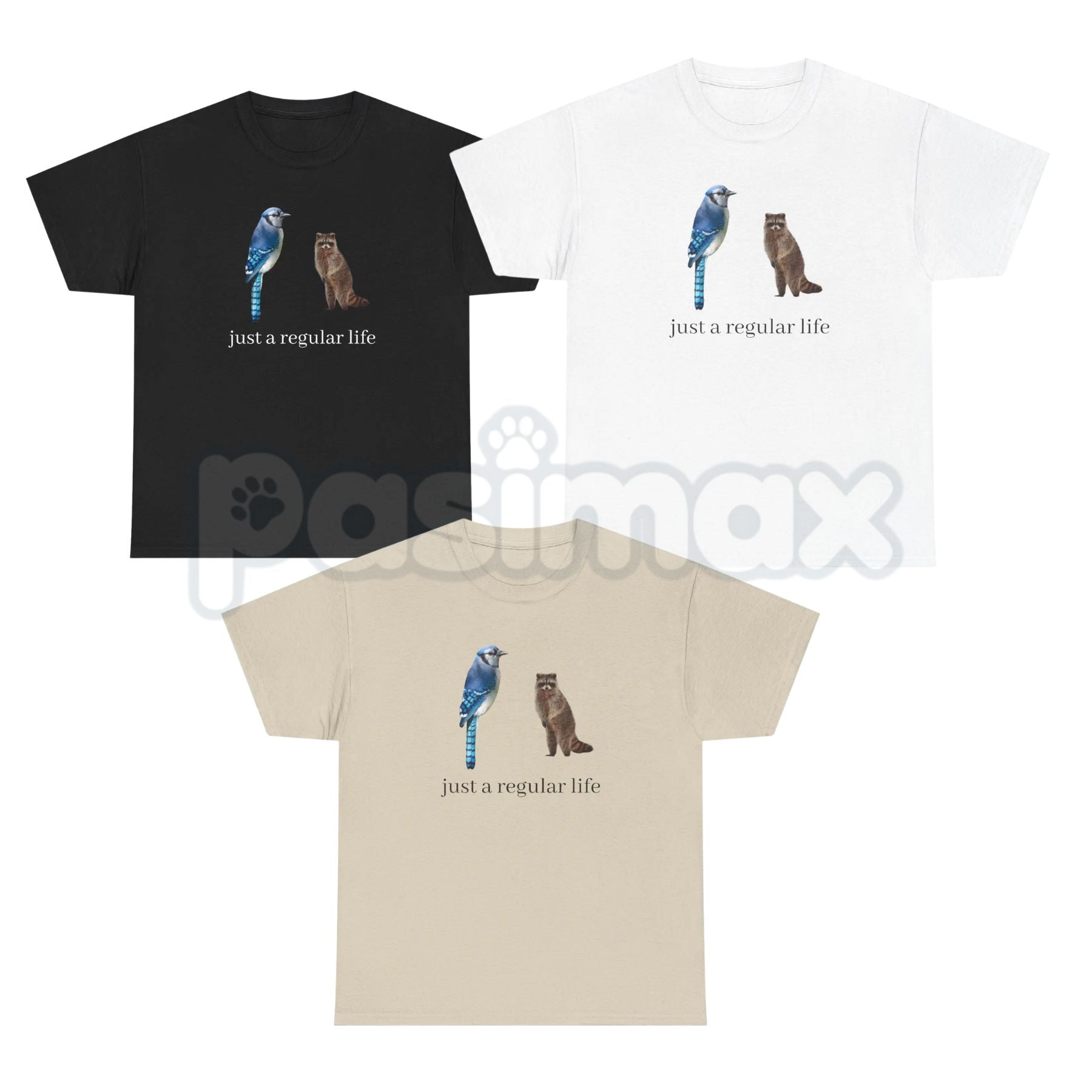 Blue Jay and Raccoon "Just a Regular Life" T-Shirt – Retro 2010s Cartoon Graphic Tee, Premium 100% Cotton Slacker Humor Top, Soft Lived-In Heavyweight Nostalgia Pop Culture Shirt, Made in USA