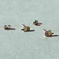 Boba Milk Tea Earring Studs – Plant Dosage LLC