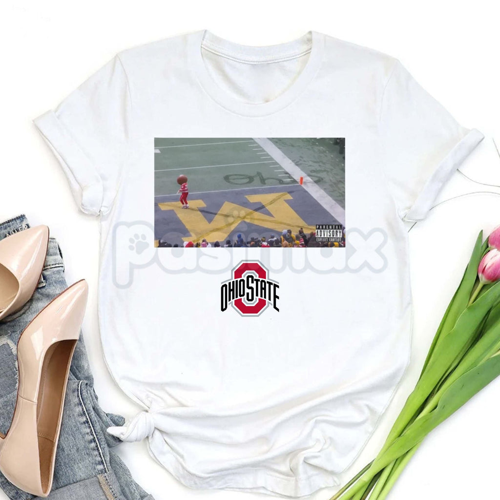 Pasimax Buckeye Ohio Snow T-Shirt - Ohio State Buckeyes Winter Fan Tee, Midwest Cold Weather Apparel, OSU Seasonal Graphic Sh