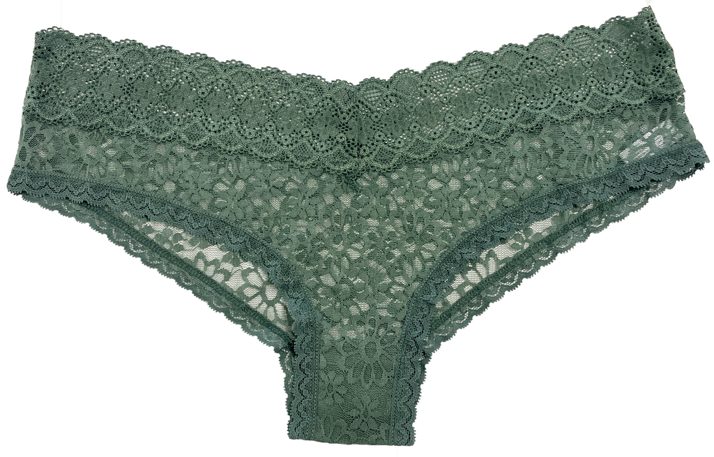 Love Libby Panties V-Front Lace Cheeky — in-use photo