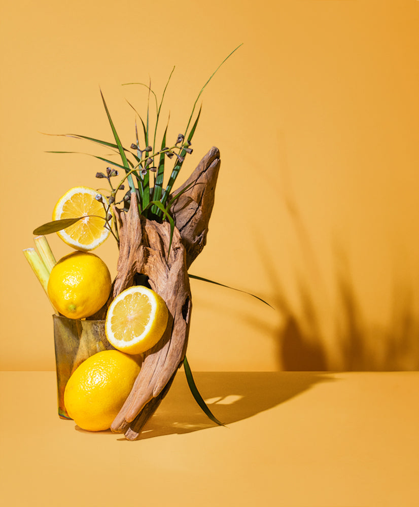 citronella & camphor™ natural fragrance oil – makesy®