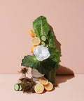 crisp cucumber & waterlily™ natural fragrance oil – makesy®