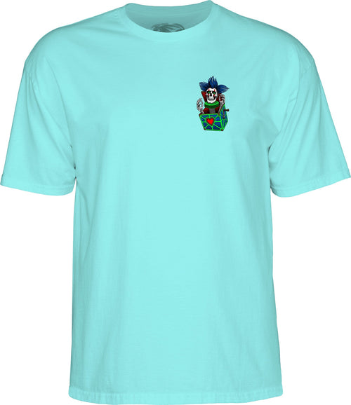 Powell Peralta Chris Hiett Skull T-shirt - Celadon