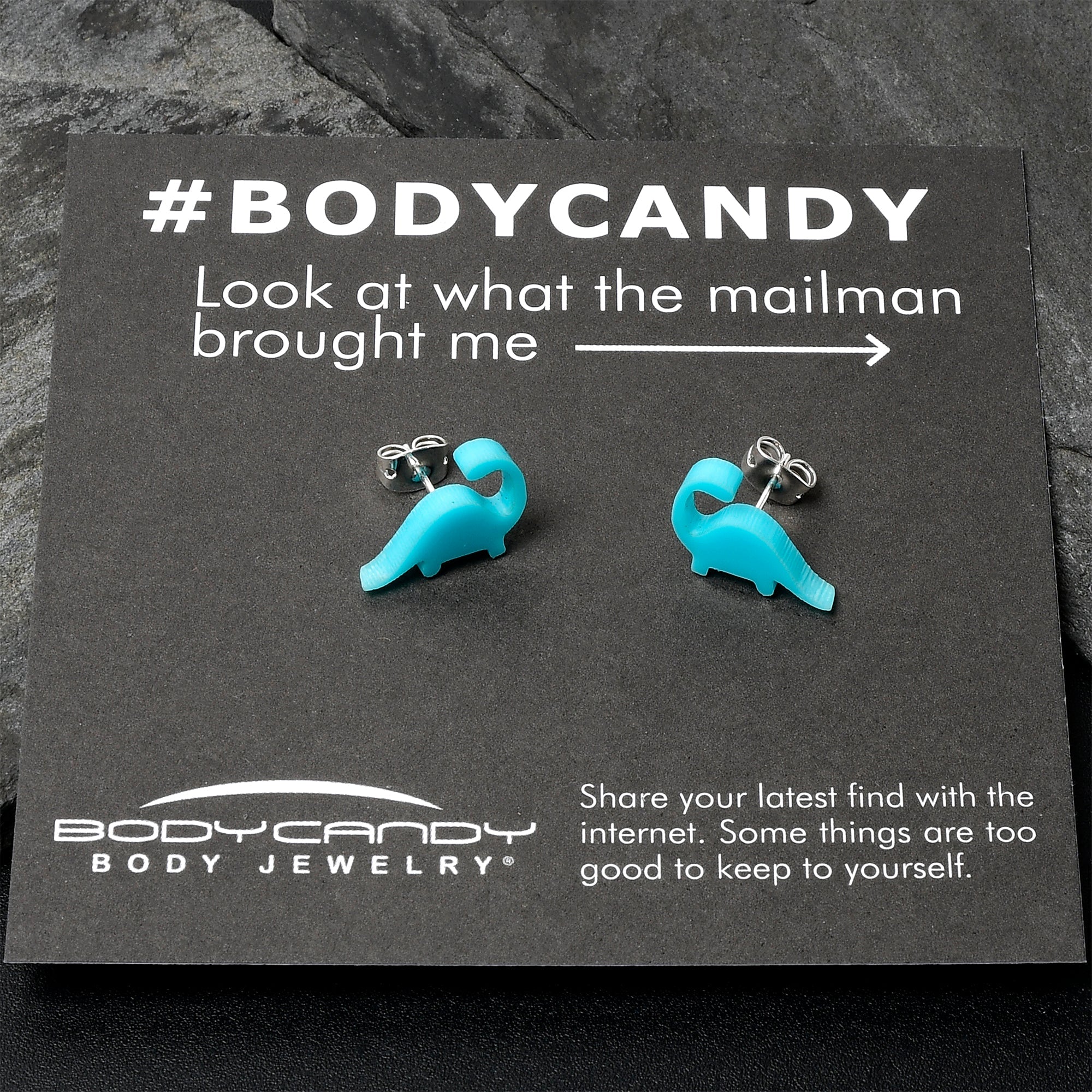 BodyCandy Blue Acrylic Brontosaurus Dinosaur Stud Earrings — detail close-up