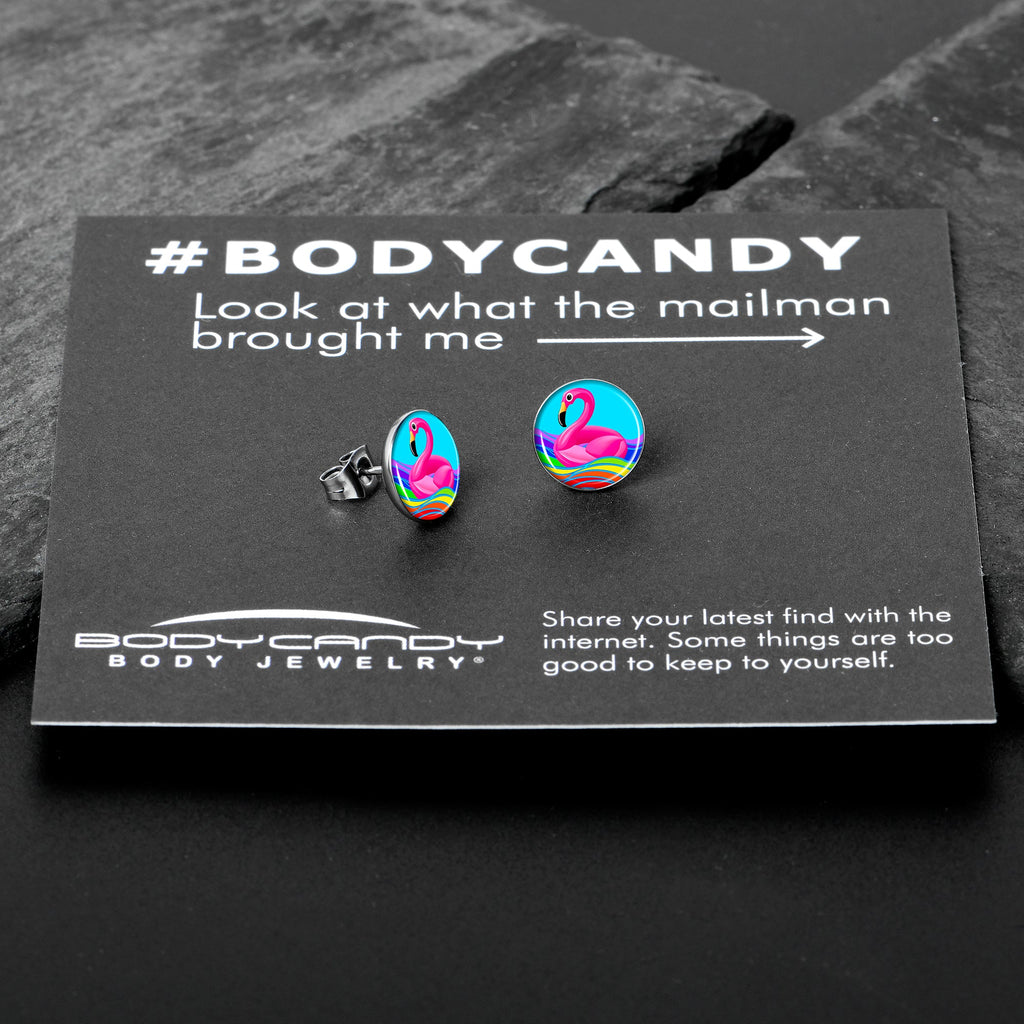 BodyCandy Rainbow Sea Floating Flamingo Stud Earrings by Onyx O — in-use photo