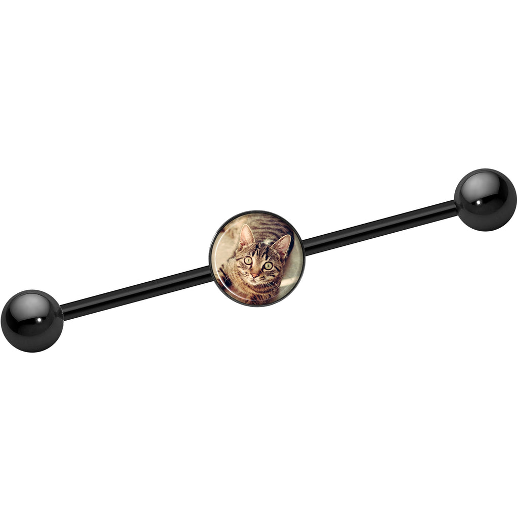 BodyCandy Custom Photo Industrial Barbell — main product shot