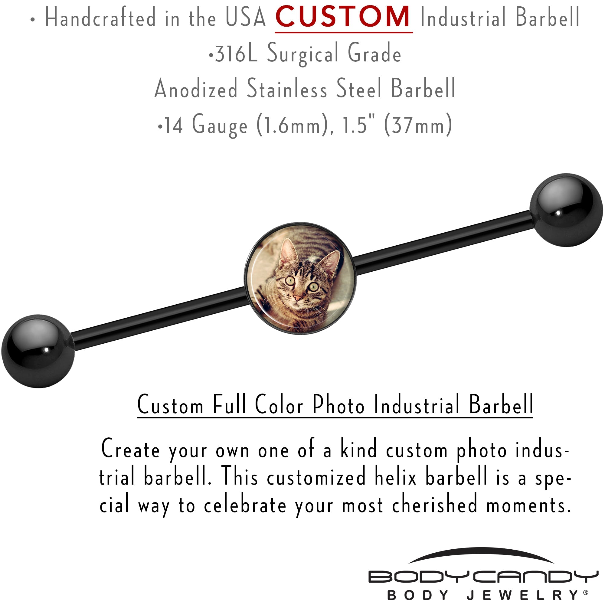 BodyCandy Custom Photo Industrial Barbell — detail close-up