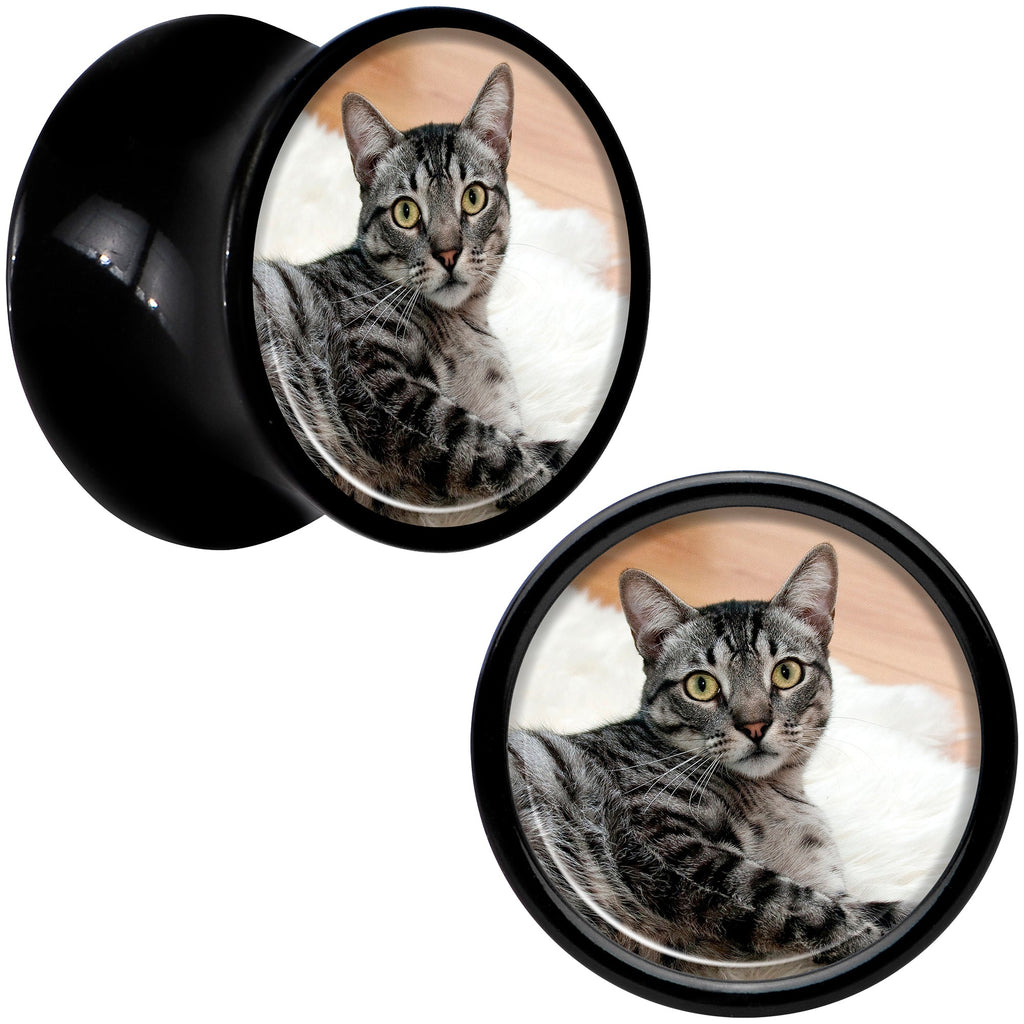 BodyCandy Black Acrylic Custom Photo Saddle Plug - buy 2 for a pair — in-use photo
