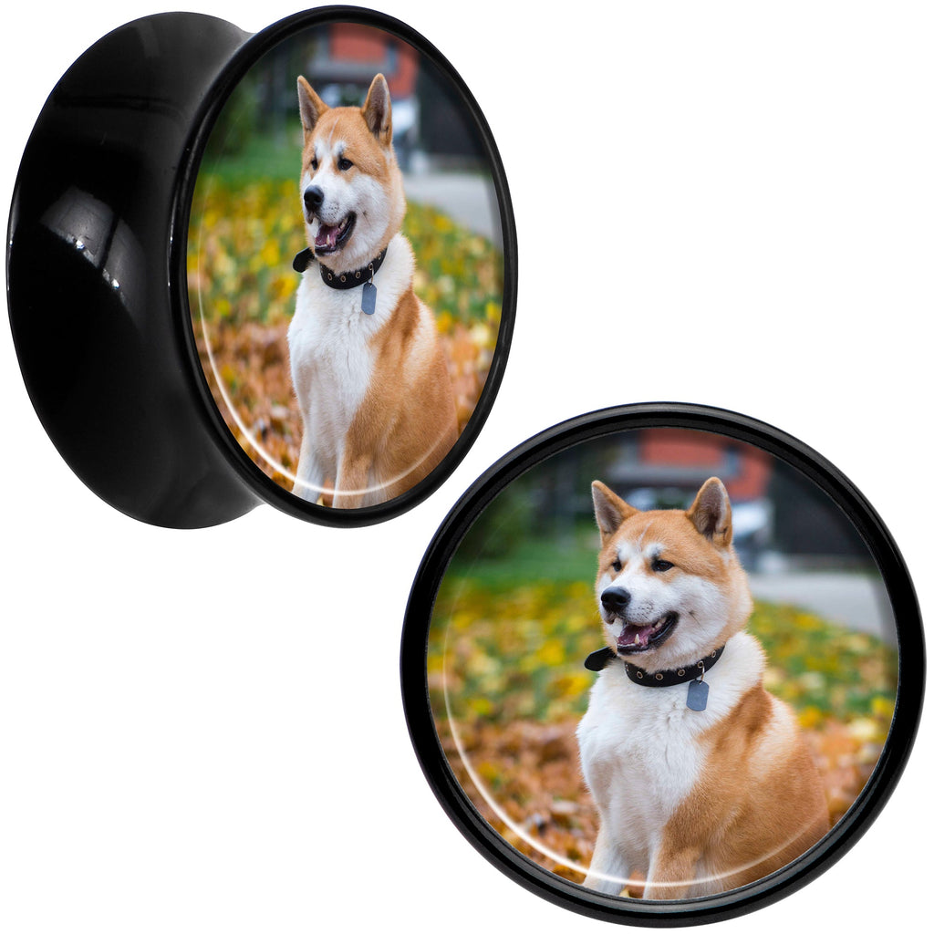 BodyCandy Black Acrylic Custom Photo Saddle Plug - buy 2 for a pair — size reference