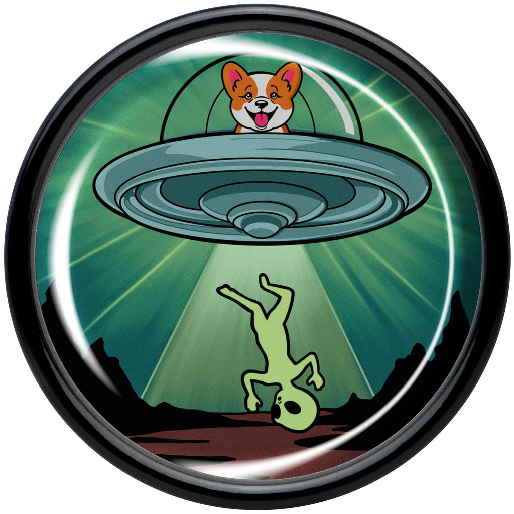 BodyCandy 0G Reverse Alien UFO Abduction Black Acrylic Saddle Plug Set by Onyx O — side view