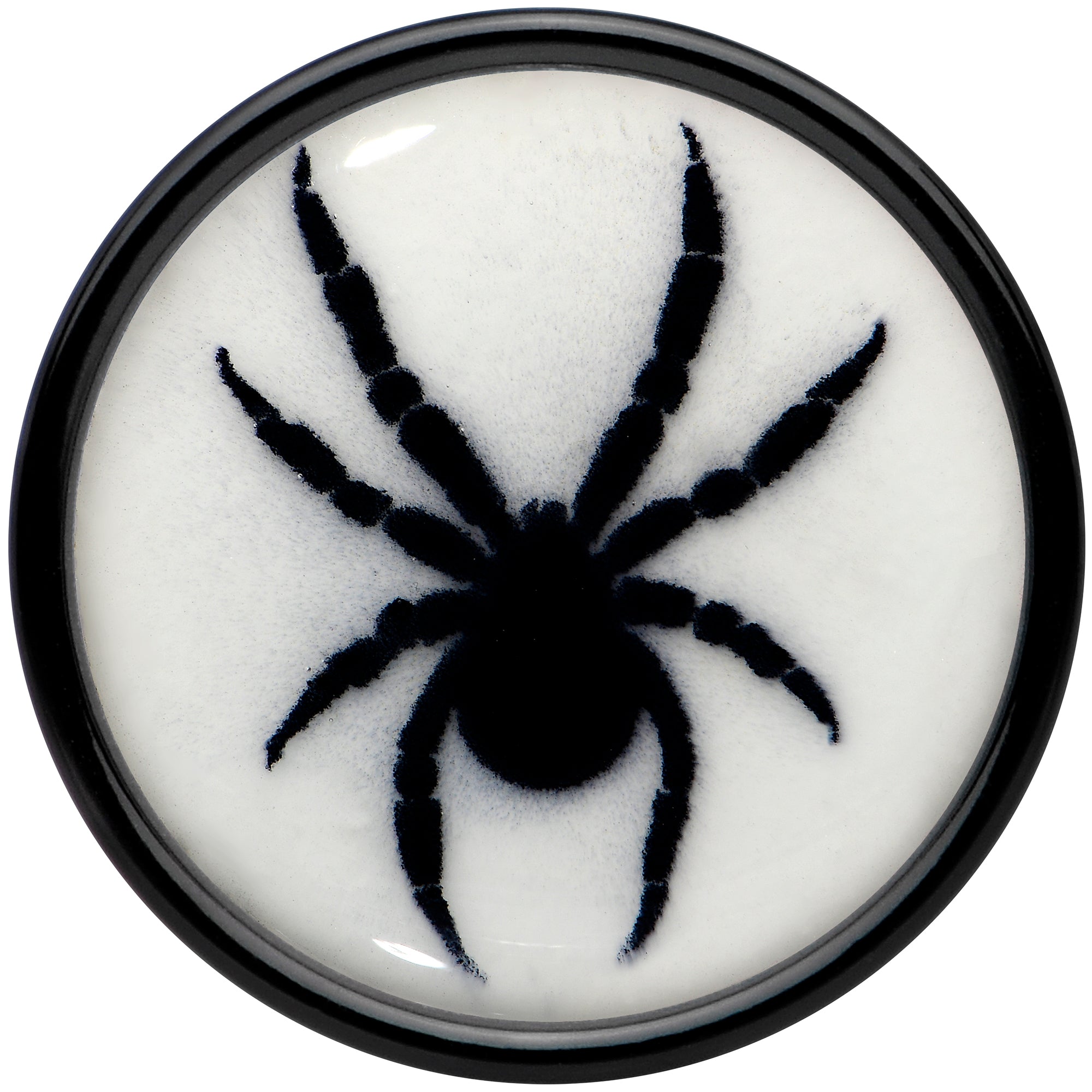 BodyCandy Black Acrylic Widow Spider Glow in the Dark Double Flare Plug Set by Onyx O — side view