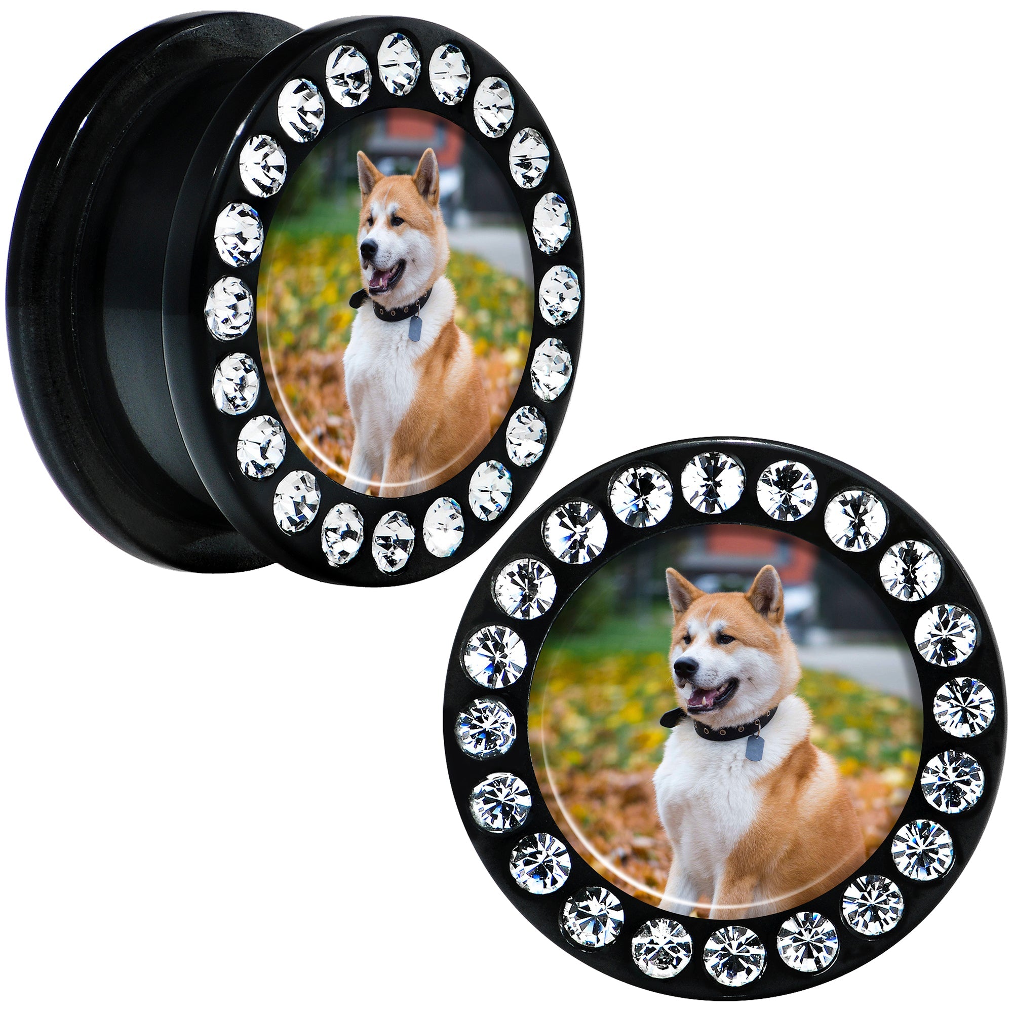 BodyCandy Black Acrylic Custom Photo Gem Screw Fit Plug - buy 2 for a pair — flat-lay composition