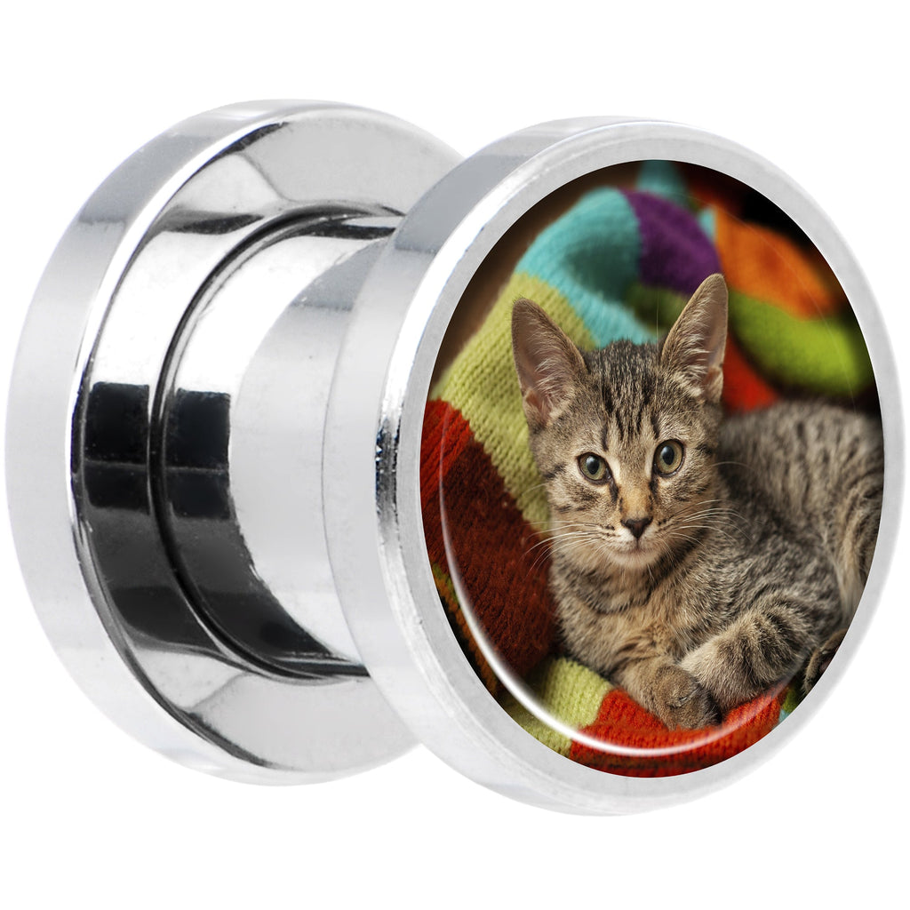 BodyCandy Stainless Steel Custom Photo Screw Fit Plug - buy 2 for a pair — lifestyle context