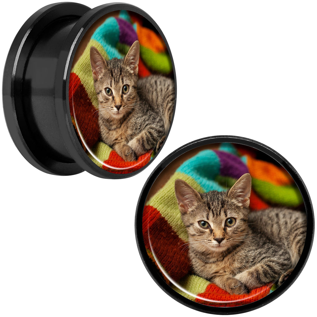 BodyCandy Anodized Black Titanium Custom Photo Screw Fit Plug - buy 2 for a pair — product on model