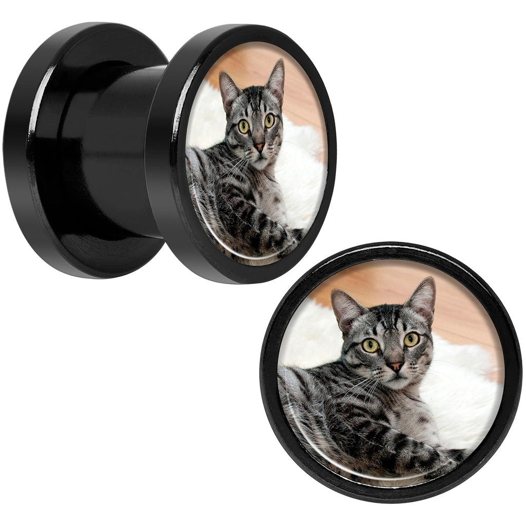 BodyCandy Anodized Black Titanium Custom Photo Screw Fit Plug - buy 2 for a pair — detail close-up