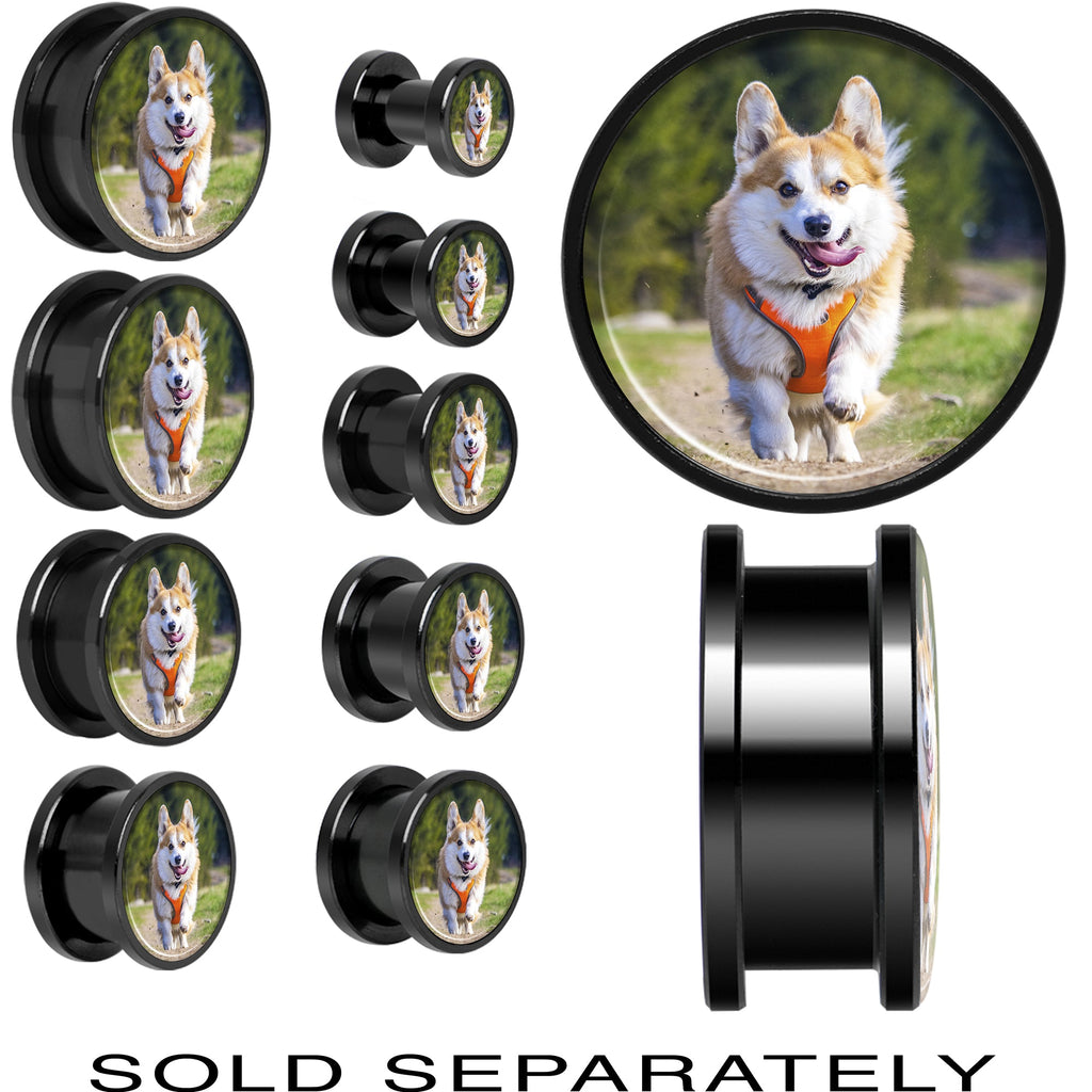 BodyCandy Anodized Black Titanium Custom Photo Screw Fit Plug - buy 2 for a pair — main product shot