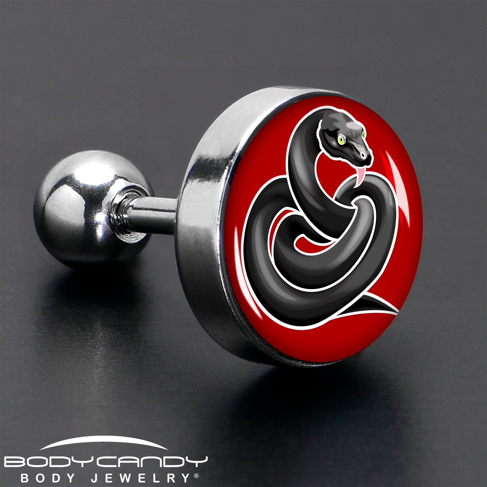 BodyCandy 16G 1/4 Black Snake Cartilage Tragus Earring by Onyx O — in-use photo