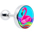 BodyCandy 16G 1/4 Rainbow Sea Floating Flamingo Cartilage Tragus Earring by Onyx O — main product shot