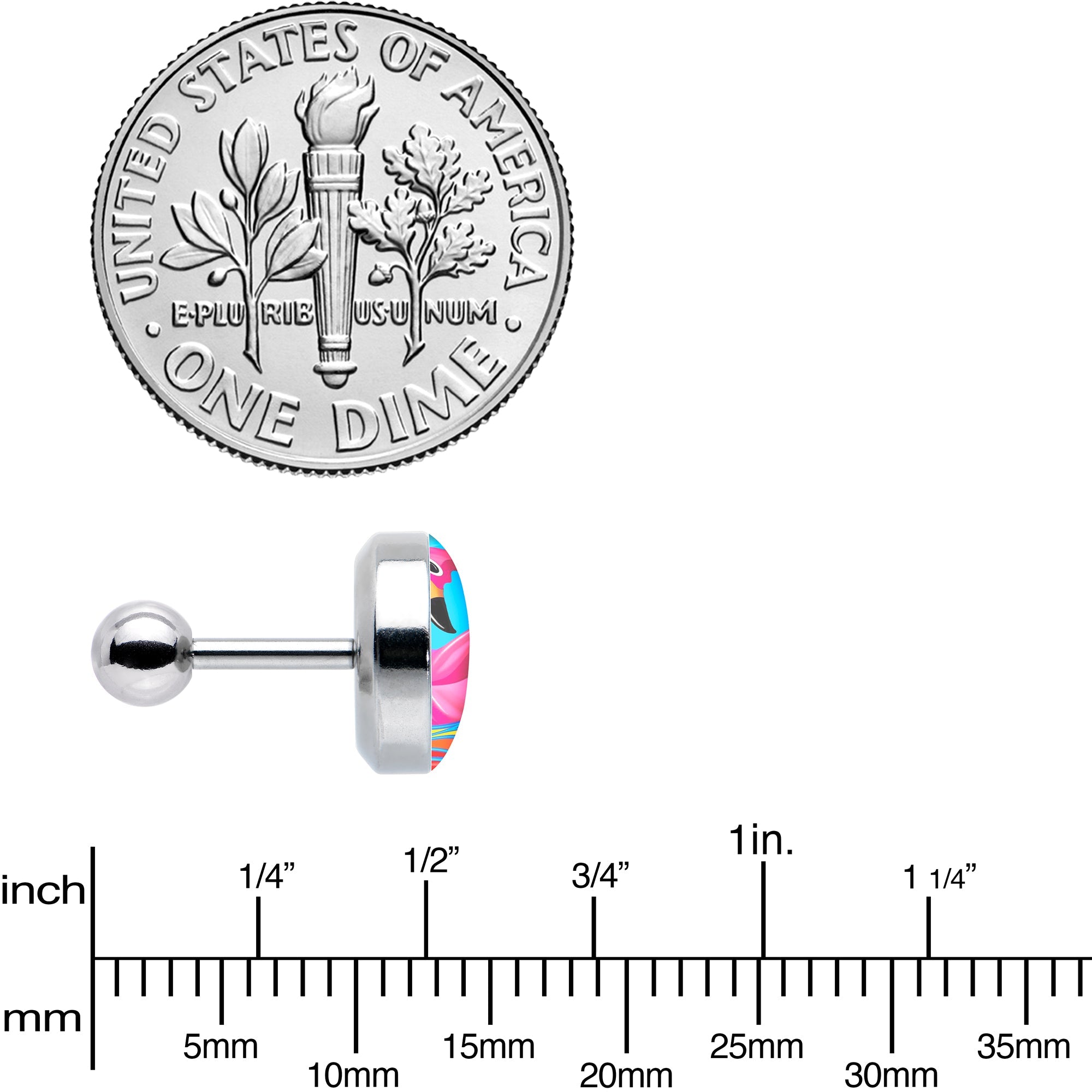 BodyCandy 16G 1/4 Rainbow Sea Floating Flamingo Cartilage Tragus Earring by Onyx O — size reference