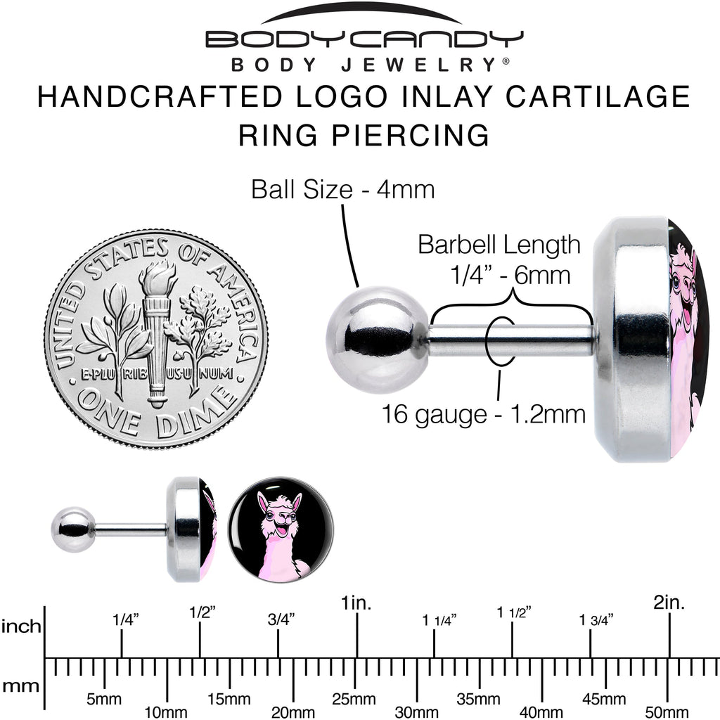 BodyCandy 16G 1/4 Pink Happy Llama Cartilage Tragus Earring by Onyx O — alternative angle