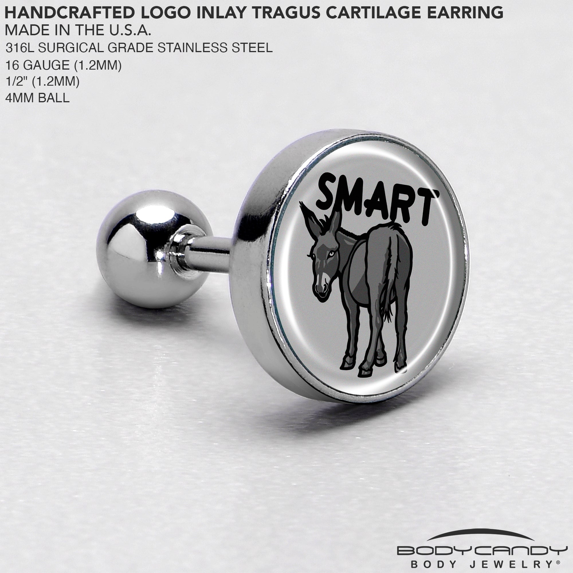 BodyCandy 16G 1/4 Donkey Smart Ass Tragus Cartilage Earring by Onyx O — side view