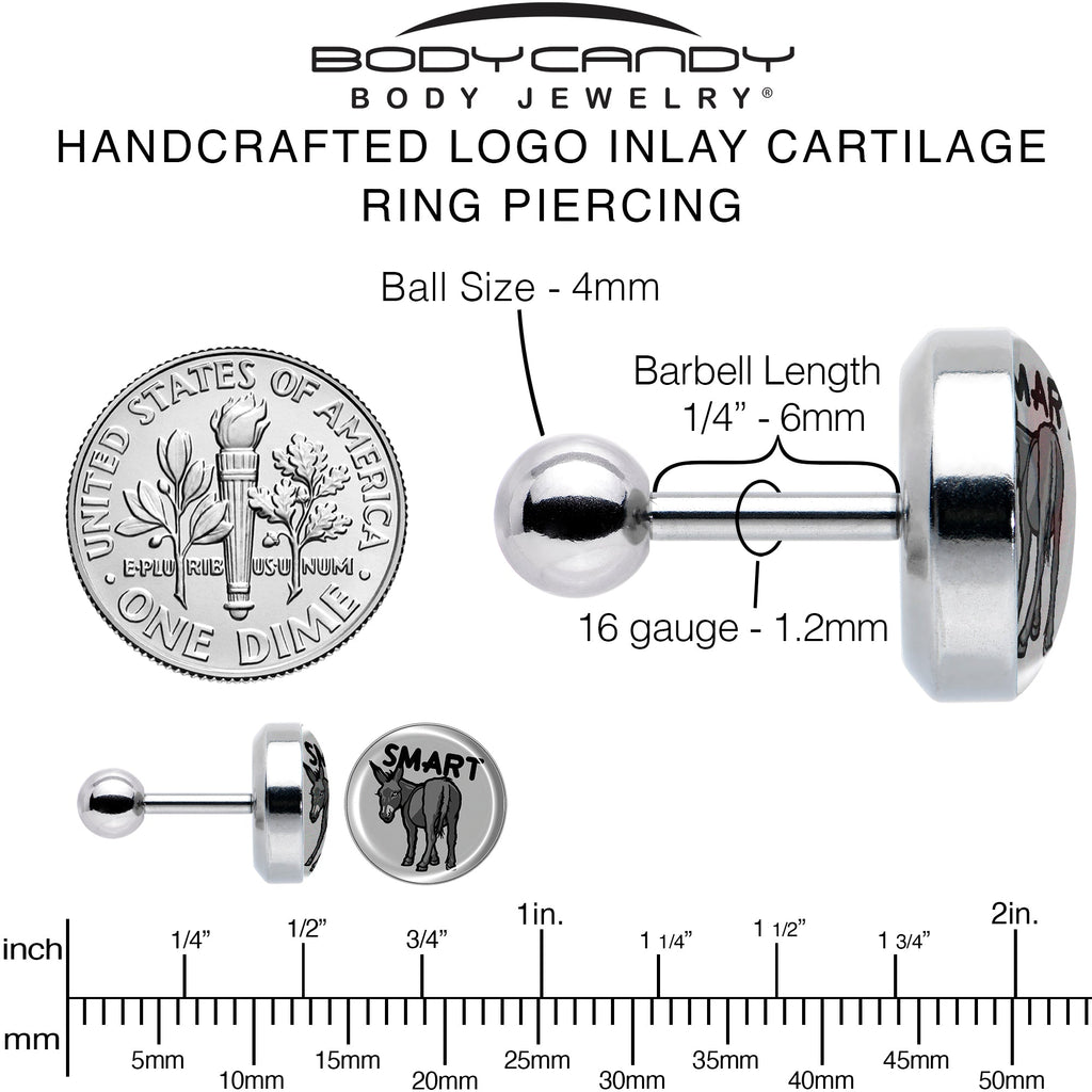 BodyCandy 16G 1/4 Donkey Smart Ass Tragus Cartilage Earring by Onyx O — alternative angle