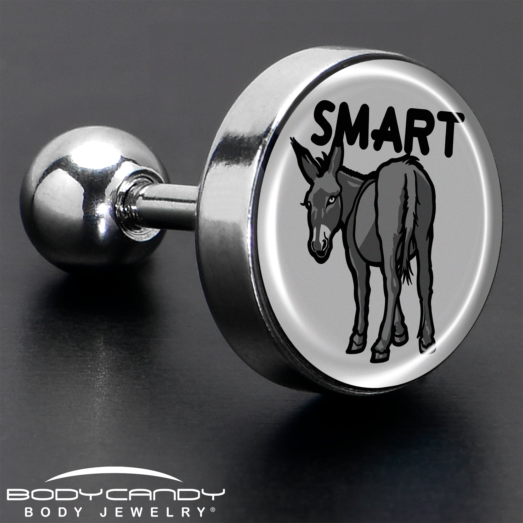 BodyCandy 16G 1/4 Donkey Smart Ass Tragus Cartilage Earring by Onyx O — in-use photo