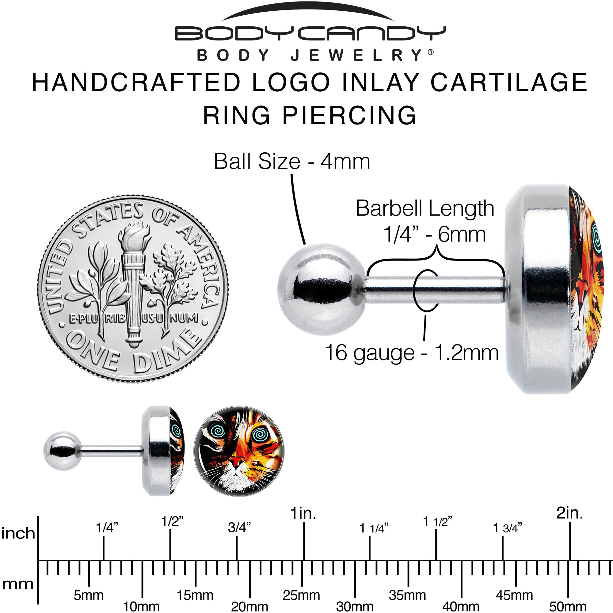 BodyCandy 16G 1/4 Colorful Trippy Cat Cartilage Tragus Earring by Onyx O — alternative angle