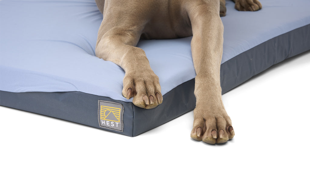 HEST Dog Bed, view 8