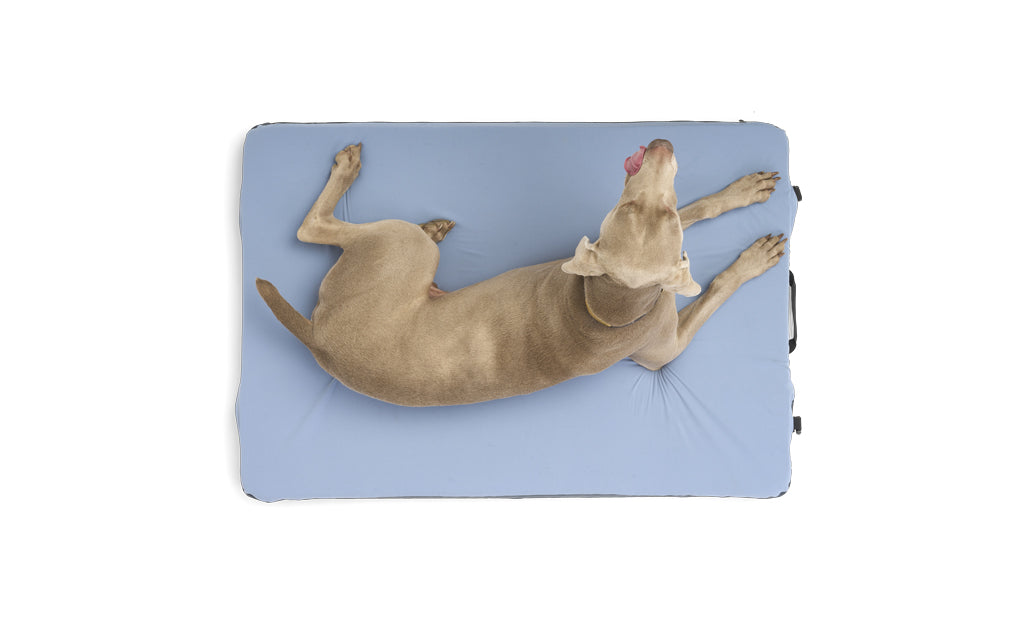 HEST Dog Bed, view 2