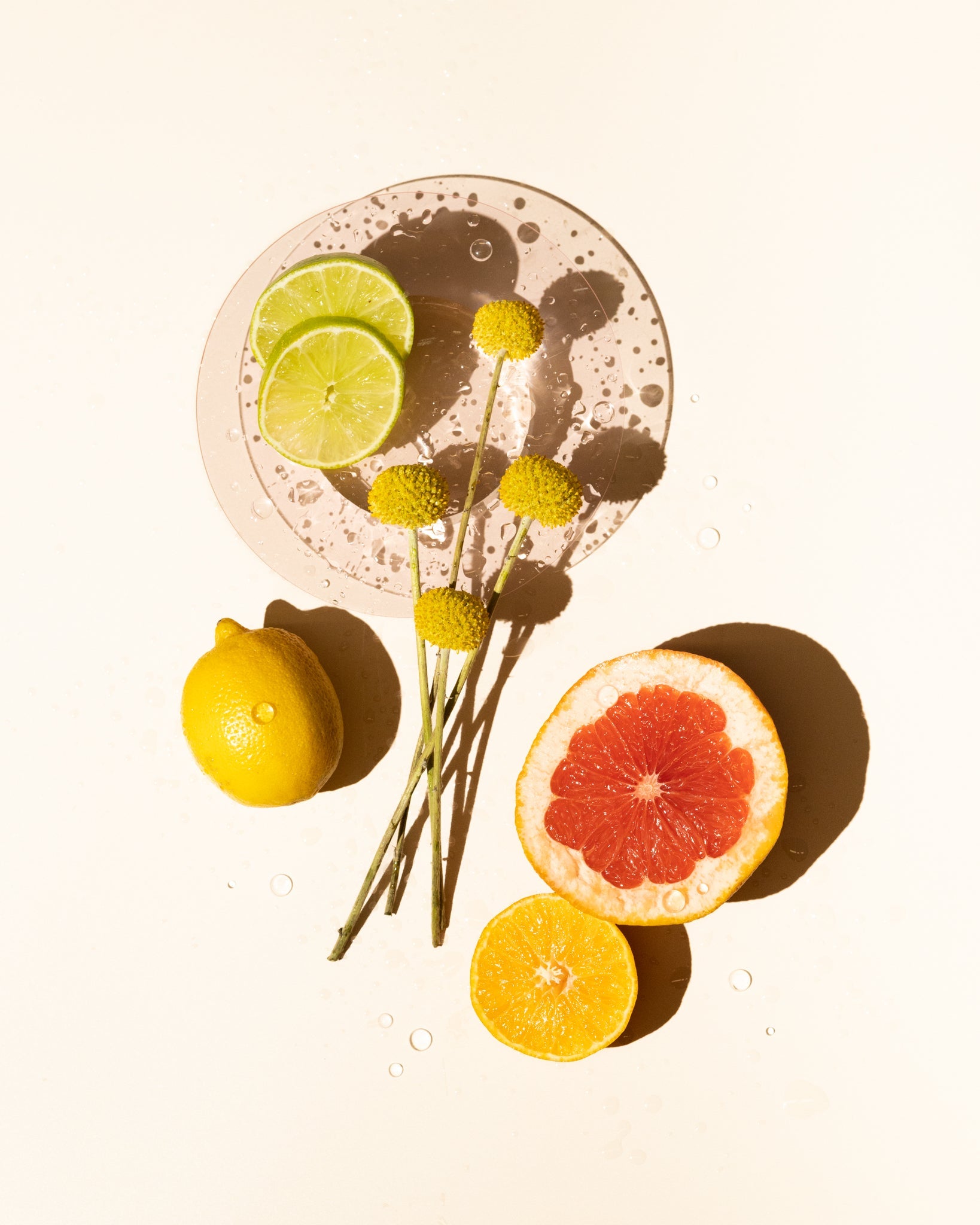 crisp citrus fragrance oil accord – makesy®