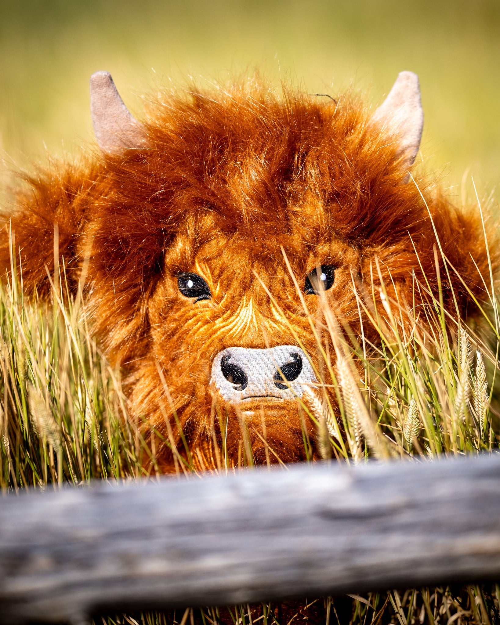 Highland Cow - Driver Cover – Pins and Aces, view 8