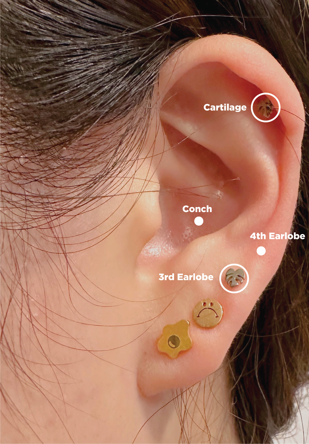 Flat Back- Teeniest Tiniest Monstera Deliciosa Earring Studs – Plant Dosage LLC, view 4