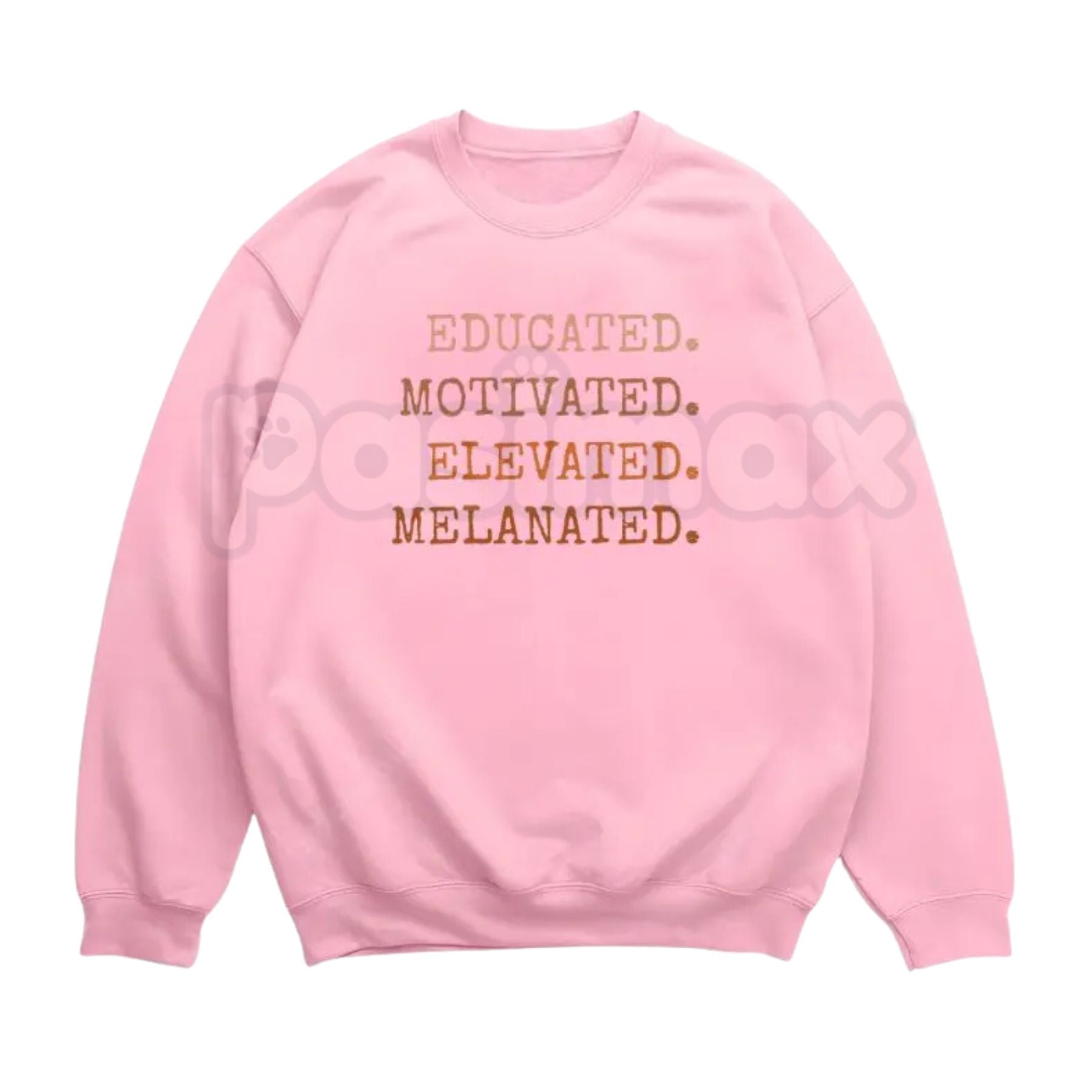 Pasimax Educated Motivated Elevated Melanated Sweatshirt | Retro University Black Excellence Crewneck | Vintage HBCU Pride Ju