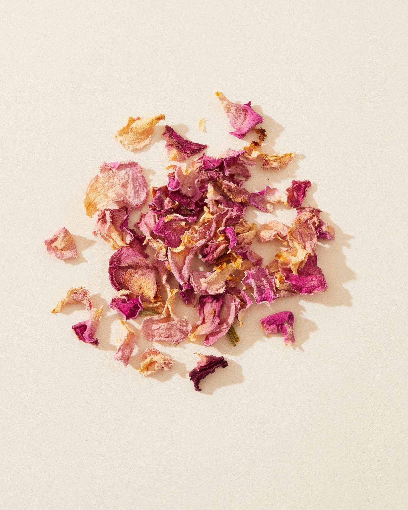 rosebuds & pink petals – makesy®