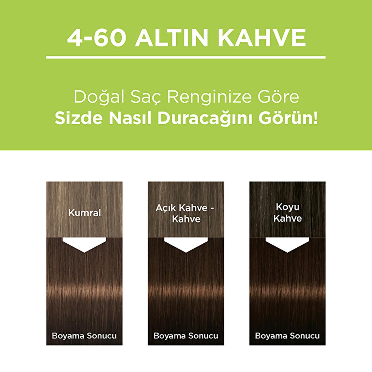 Palette Permanent Natural Color Hair Dye - 4-60 Golden Brown | 4.23 fl. oz.