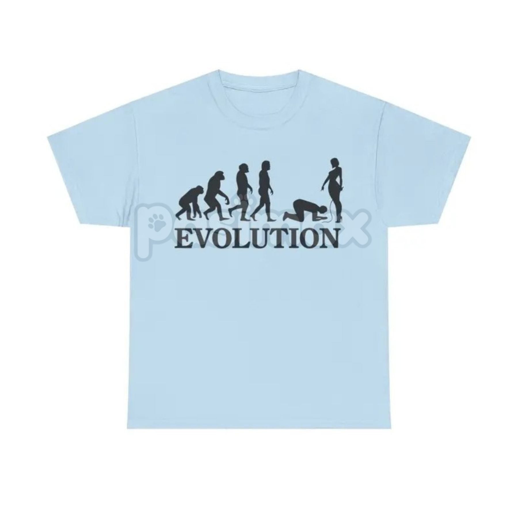 Pasimax "Evolution Simp" Funny Graphic T-Shirt — main product shot