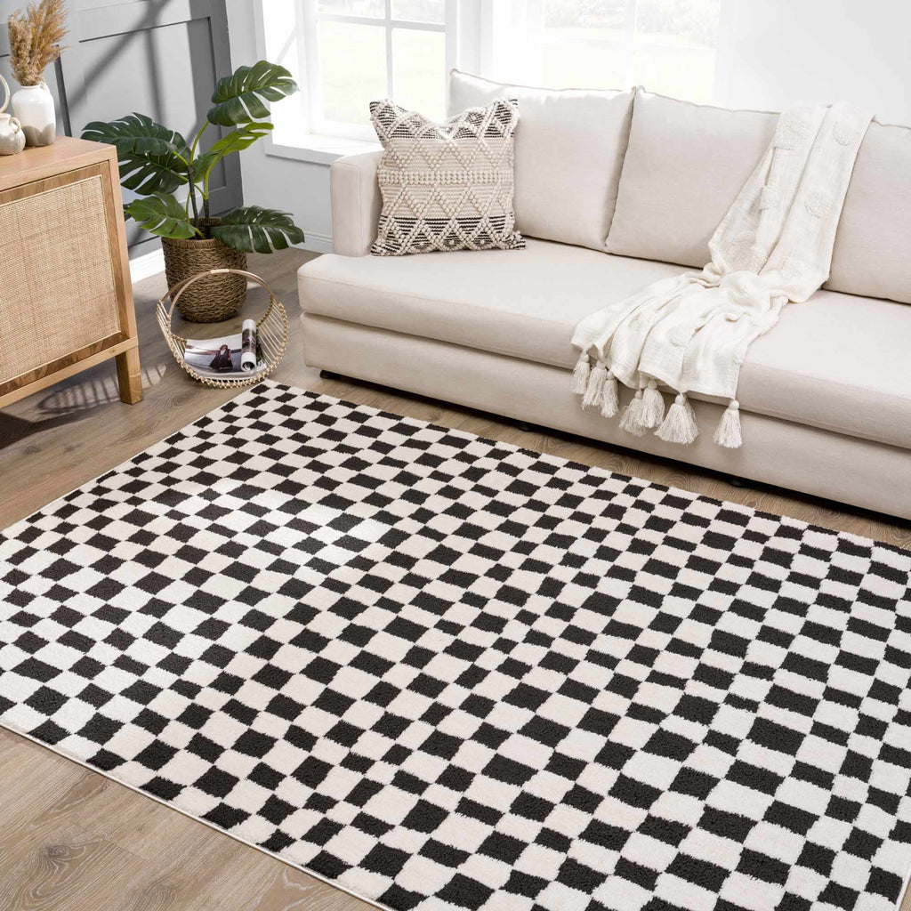 Lajos Black & White Checkered Plush Rug – Boutique Rugs, view 20