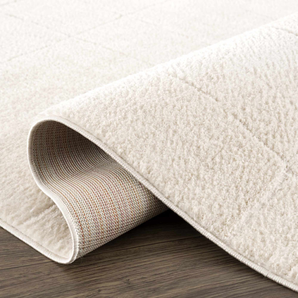 Koume Ivory Area Rug – Boutique Rugs, view 16